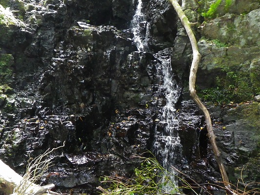 f0187402_2101344.jpg