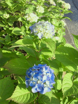 f0147604_22565563.jpg