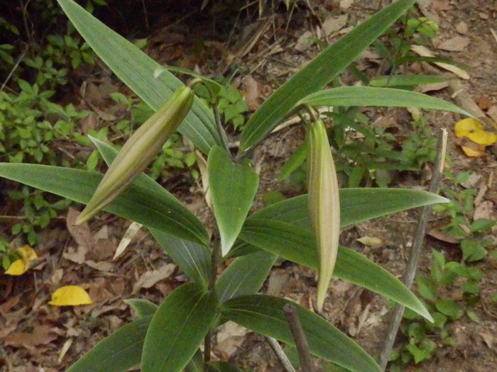 f0219710_1311527.jpg