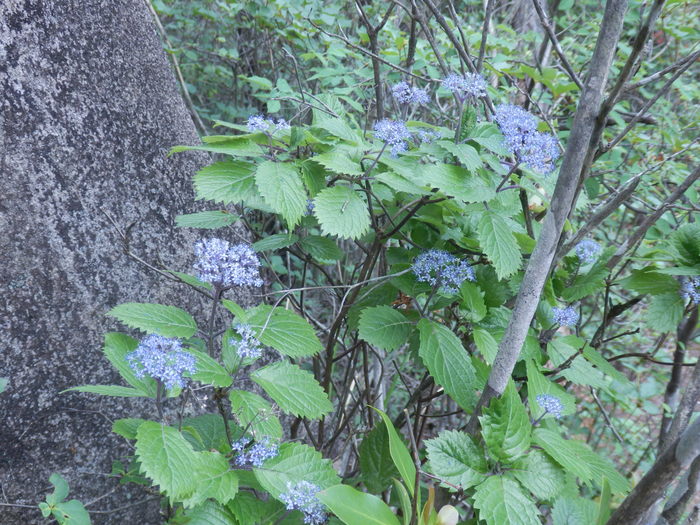 f0219710_13132051.jpg