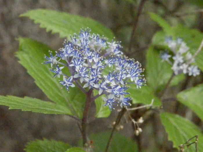 f0219710_13135980.jpg