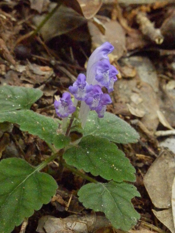 f0219710_13145787.jpg