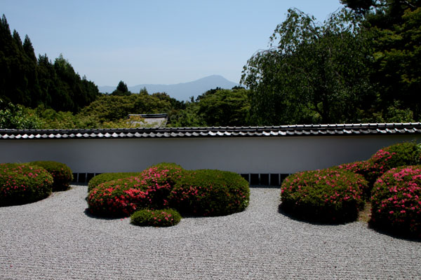 正伝寺 サツキ満開_e0048413_20335614.jpg