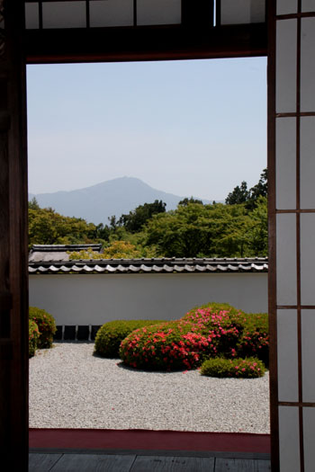 正伝寺 サツキ満開_e0048413_20343395.jpg