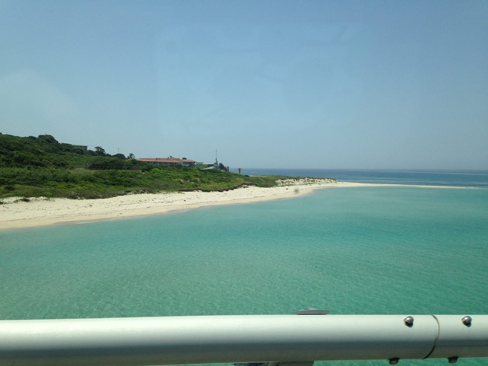 e0163013_9231215.jpg