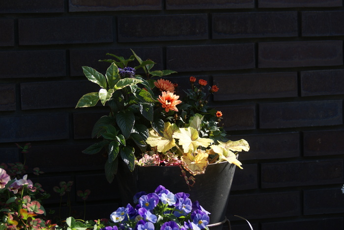 f0170524_12122335.jpg