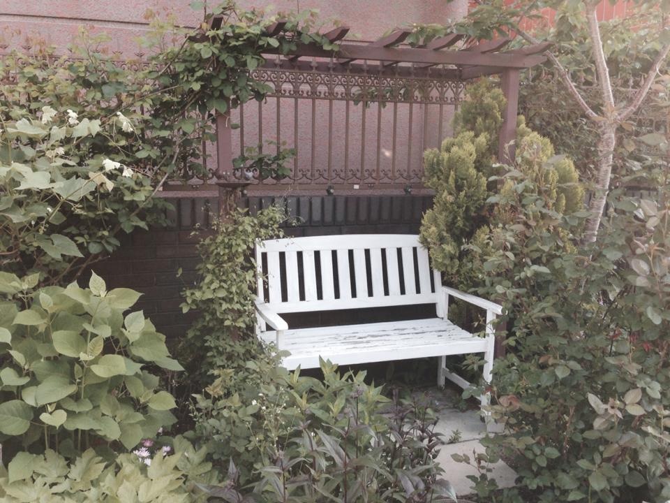 f0170524_1222025.jpg