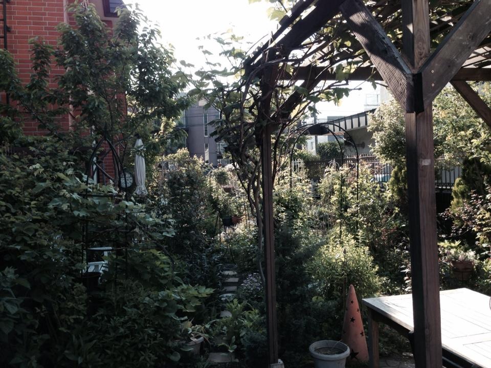 f0170524_12221724.jpg