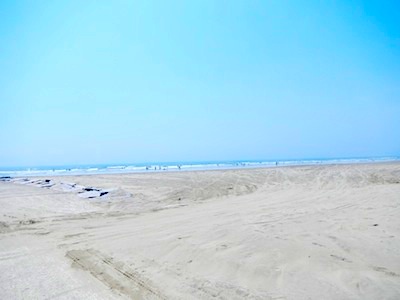 b0104826_11394747.jpg