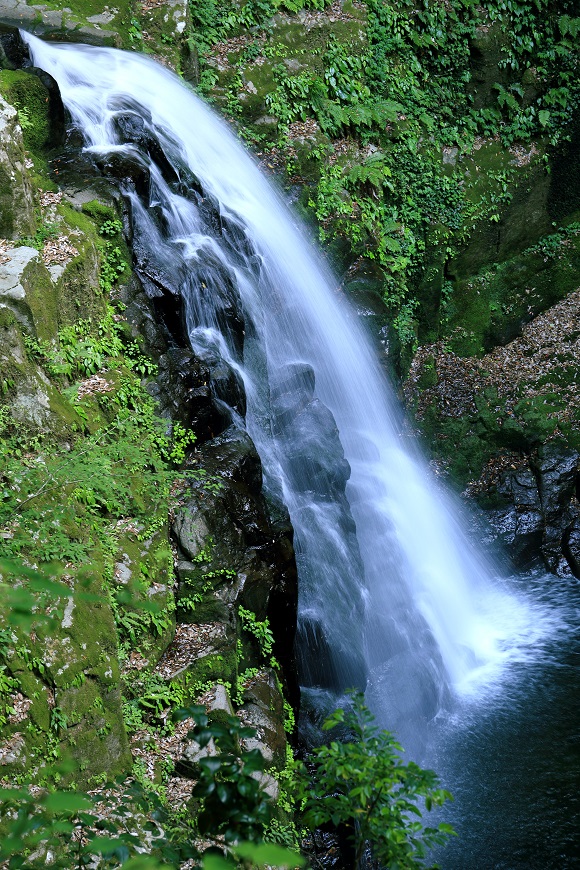 c0201929_74721100.jpg