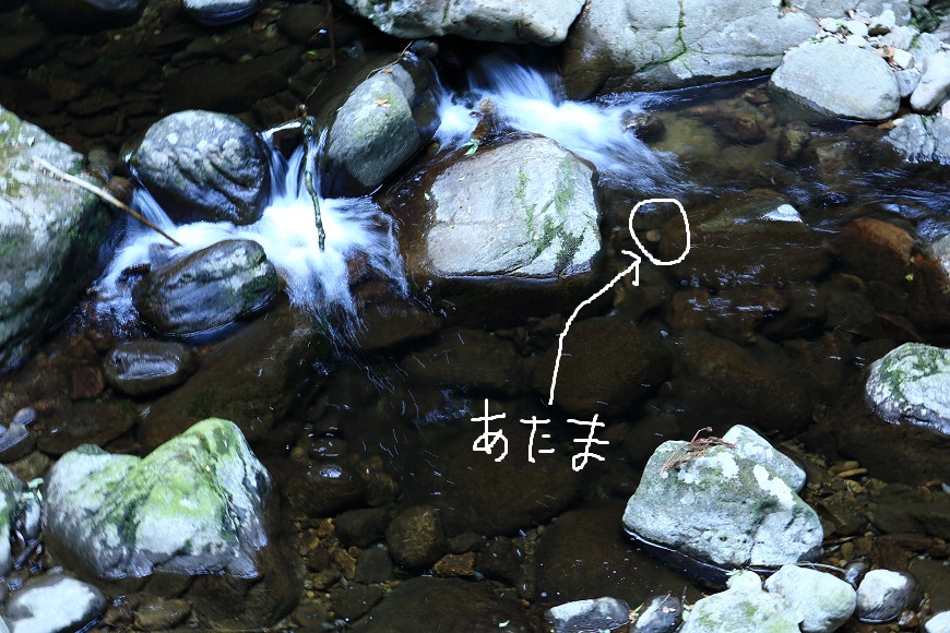 c0201929_74867.jpg