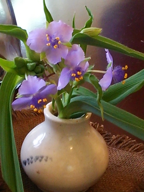 b0167733_10103727.jpg