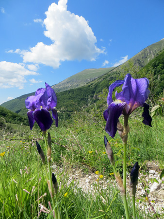 二人で山登り_f0234936_7231714.jpg