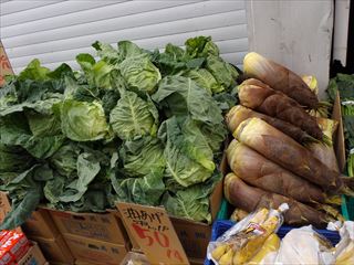 e0120938_21170147.jpg