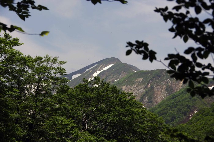 夏道は・・・苦手だw    *神室連峰①_d0237340_6543458.jpg