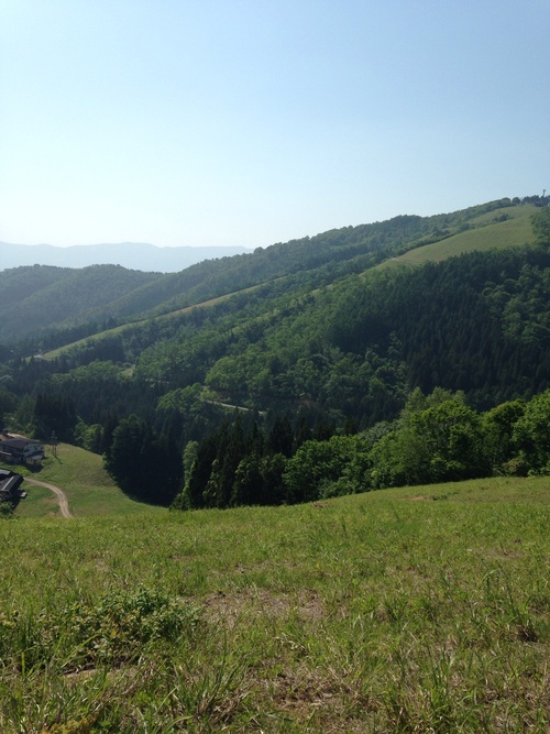 f0118542_10422872.jpg