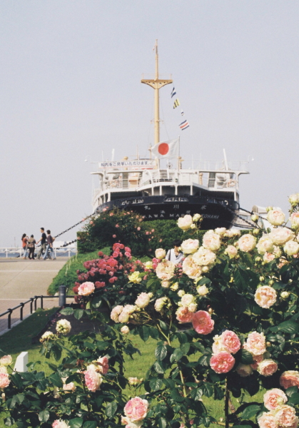 c0199146_06893.jpg