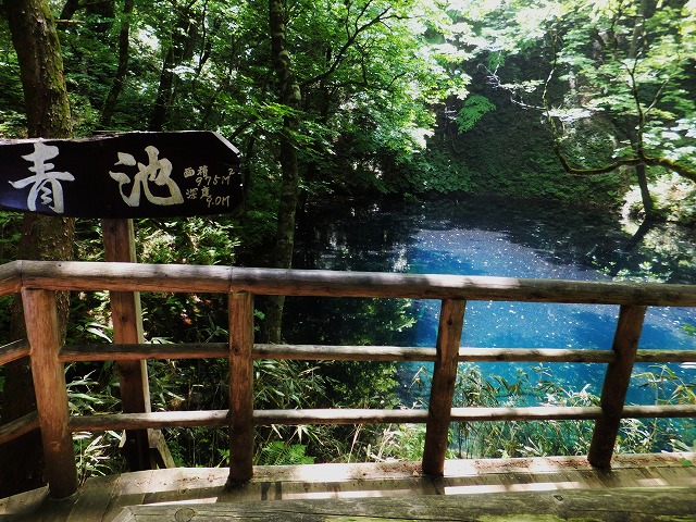 d0048350_21394257.jpg