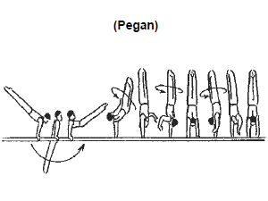 本家本元 ペガン 平行棒 The King Of Gymnastics 13 16 本家本元 ペガン 平行棒 The King Of Gymnastics 13 16