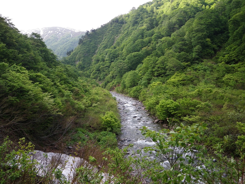 蓬峠　（谷川連峰）_a0286351_382474.jpg