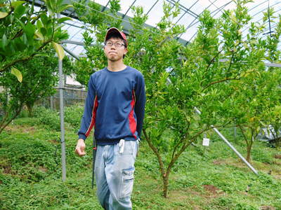 究極の柑橘「せとか」 花と着果 今年も匠の技で育て上げます!_a0254656_1965061.jpg