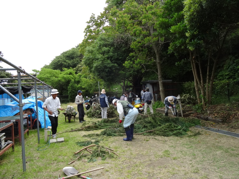 無償植樹苗20株入荷＆植樹場所選定＆ささゆりまつり第３日　　in　　うみべの森_c0108460_23354124.jpg