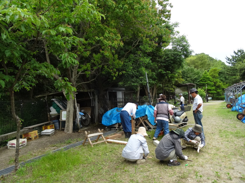 無償植樹苗20株入荷＆植樹場所選定＆ささゆりまつり第３日　　in　　うみべの森_c0108460_23430457.jpg