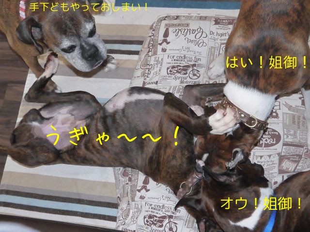f0177261_13293650.jpg