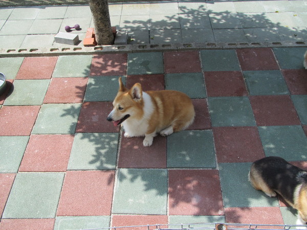a0085464_1032588.jpg