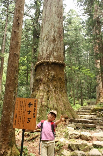 ヒビキ念願の山デビュー!!_b0145366_19242812.jpg