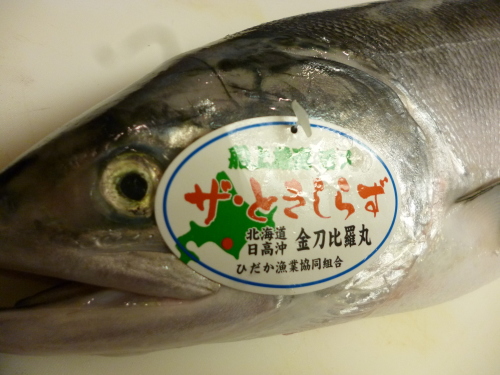 　見事な銀色ですね！_e0252966_13380512.jpg