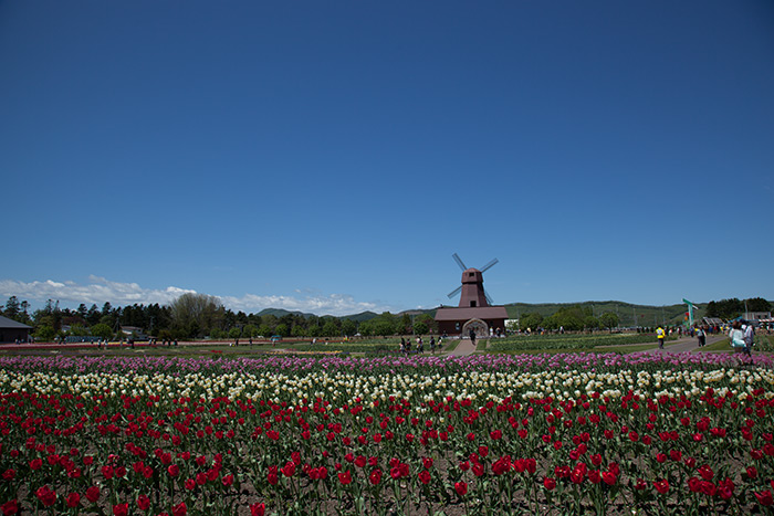 f0054366_20321824.jpg