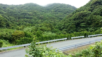 a0288567_13114675.jpg