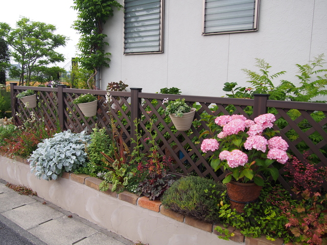 b0194267_20493523.jpg
