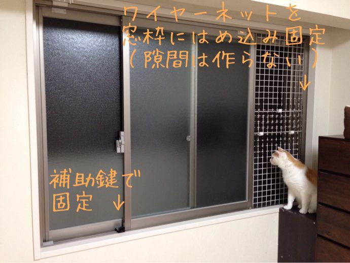 35 猫 隙間 対策 100 で最高の画像 35 猫 隙間 対策 100 で最高の画像