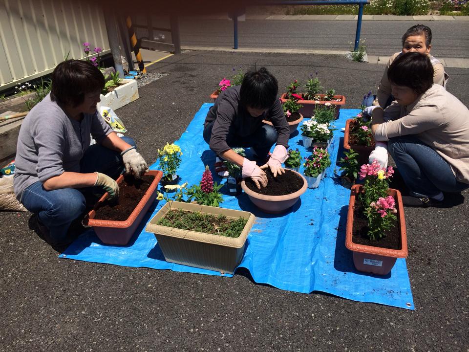 宮城県石巻市 仮設渡波北部第一団地_d0259876_235539.jpg