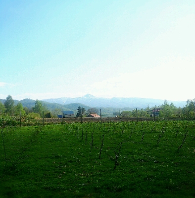 c0300778_17572451.jpg