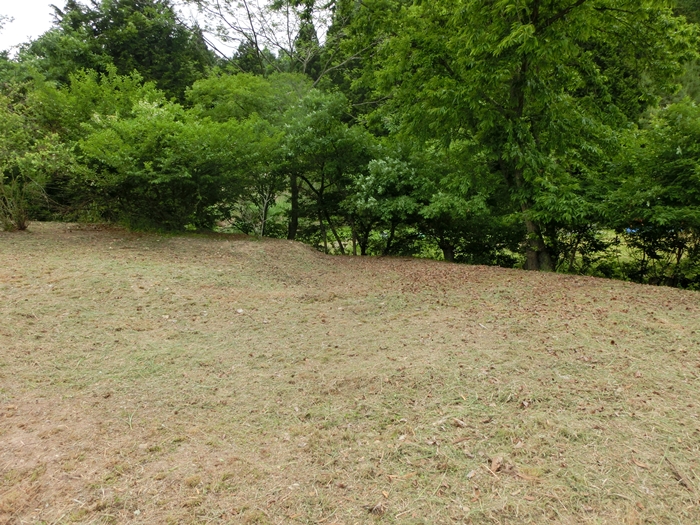 a0199979_1620160.jpg