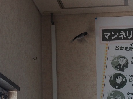 パニック。_a0045293_1085719.jpg