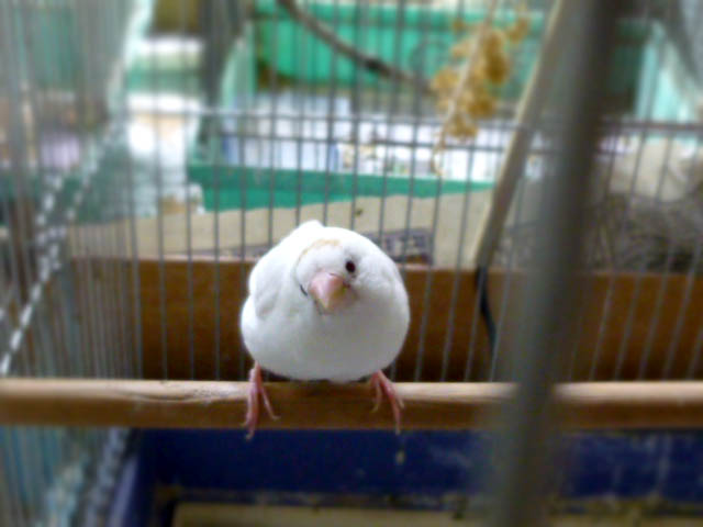 a0086994_22275170.jpg