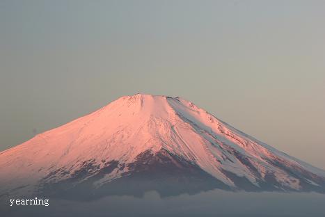 朝陽を浴びた山頂_c0265895_20431265.jpg