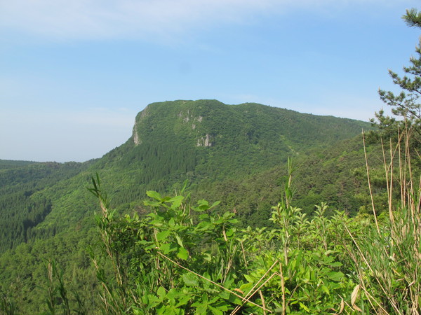 a0166196_21575266.jpg