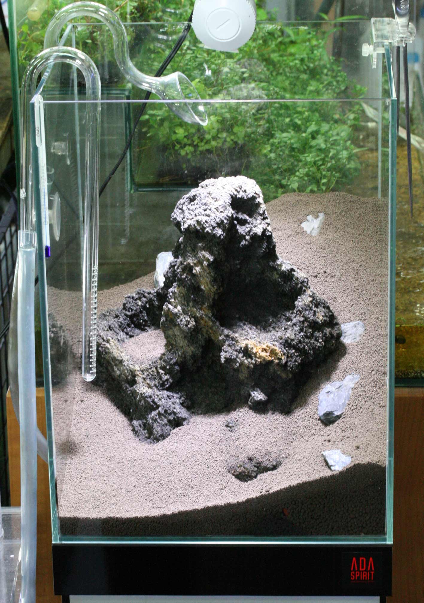 c0165800_215257.jpg