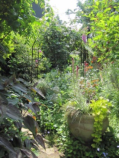 c0152002_20280743.jpg