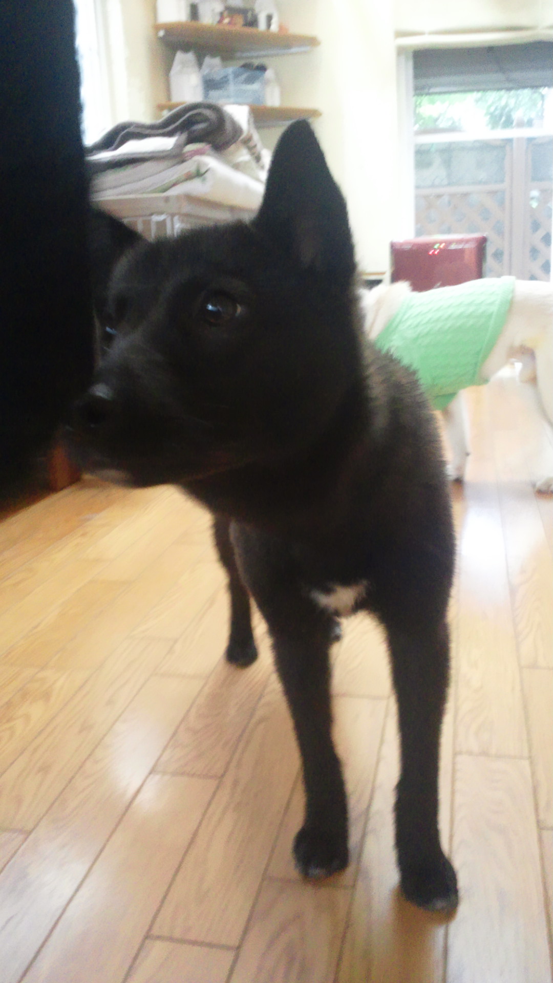 はじめまして!(くま乃)_f0242002_13264279.jpg