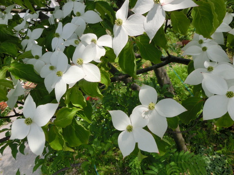 a0203003_22333033.jpg