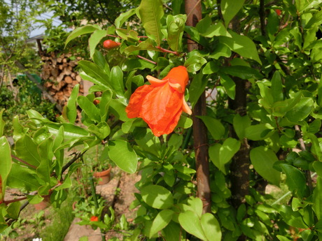a0203003_2234629.jpg