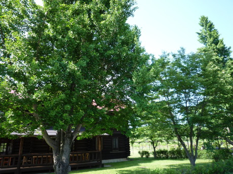 f0250403_00074849.jpg