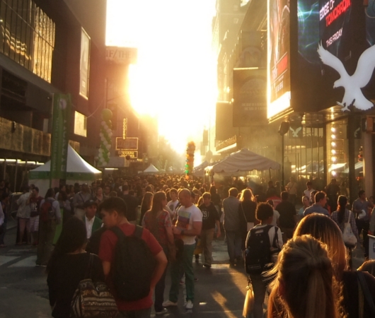 マンハッタンヘンジと食の祭典 Taste of Times Square_b0007805_3181055.jpg