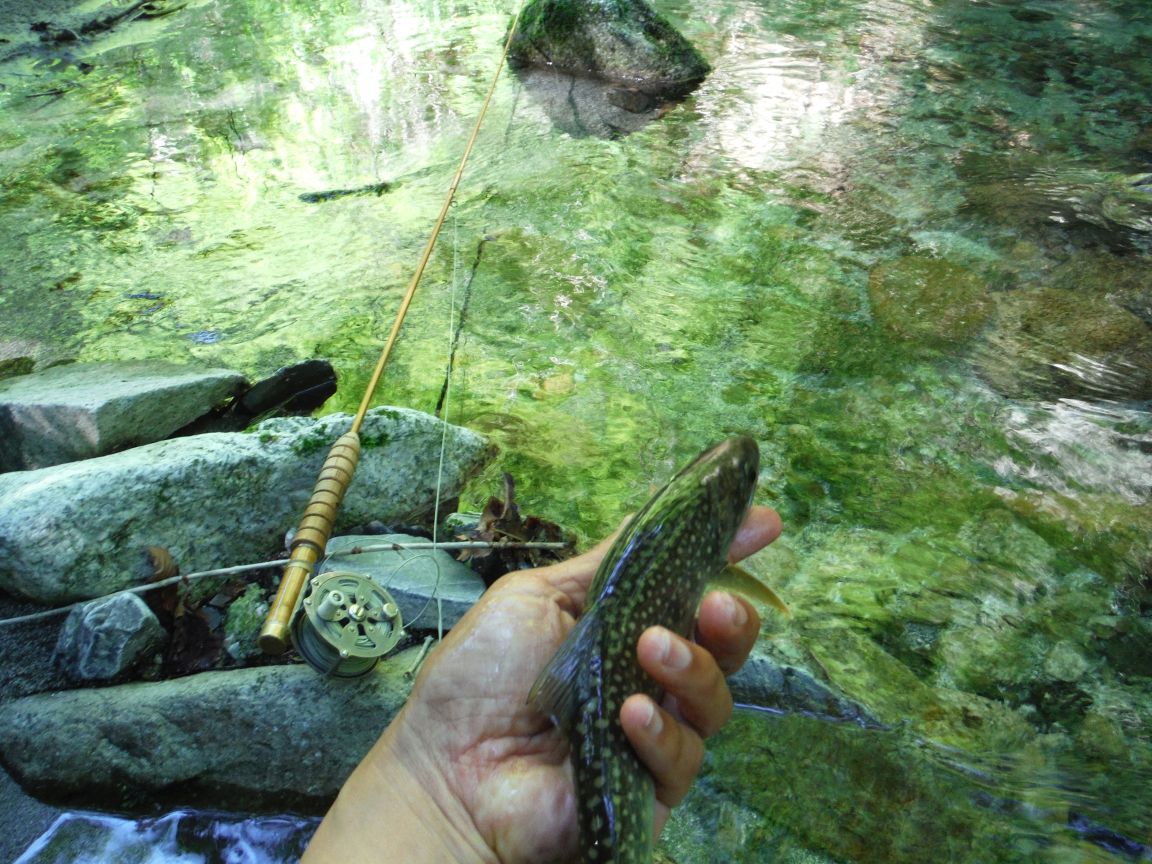 b0172805_00445087.jpg